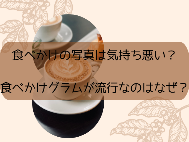 食べかけの写真は気持ち悪い？食べかけグラムが流行なのはなぜ？