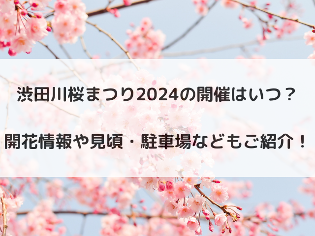 渋田川桜まつり2024の開催はいつ？開花情報や見頃・駐車場などもご紹介！