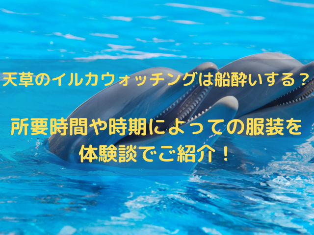 天草のイルカウォッチングは船酔いする？所要時間や時期によっての服装を体験談でご紹介！