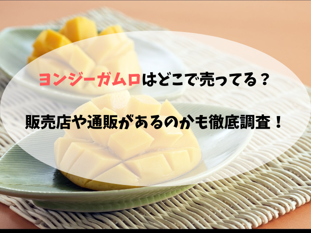 ヨンジーガムロはどこで売ってる？販売店や通販があるのかも徹底調査！