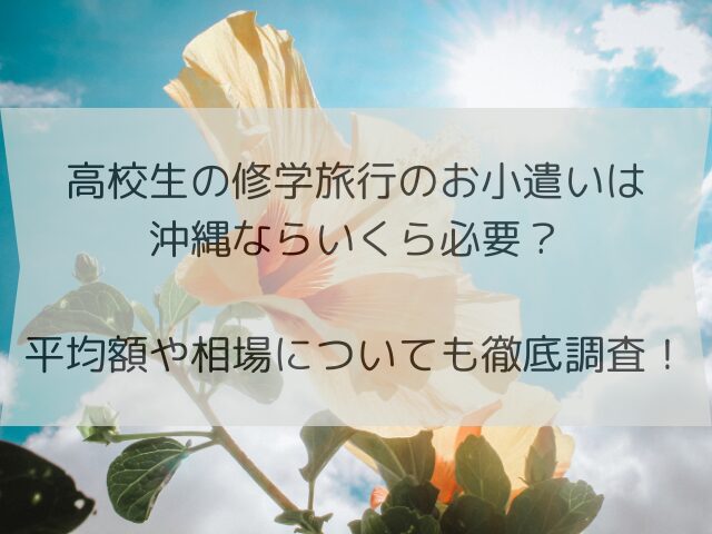 高校生の修学旅行のお小遣いは沖縄ならいくら必要？平均額や相場についても徹底調査！